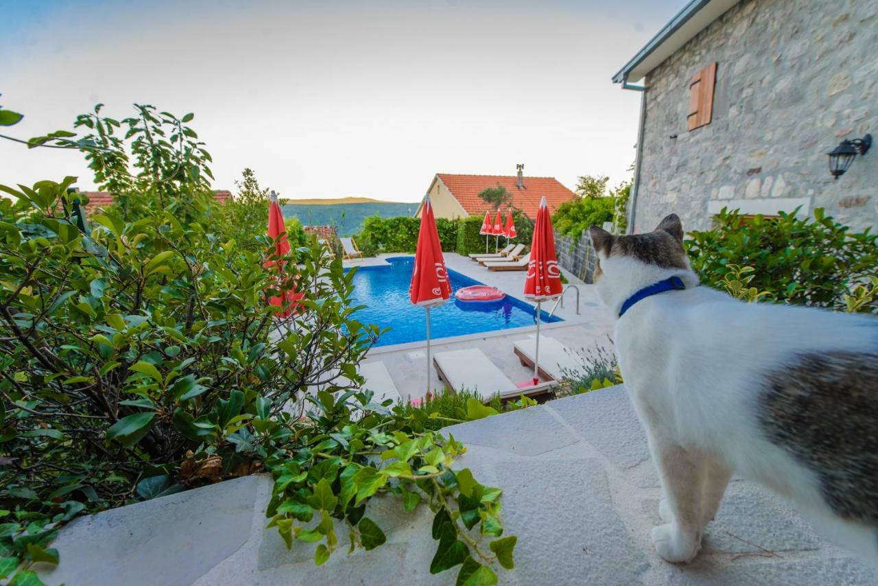 Mediteraneo Villa Kaluderovici Extérieur photo